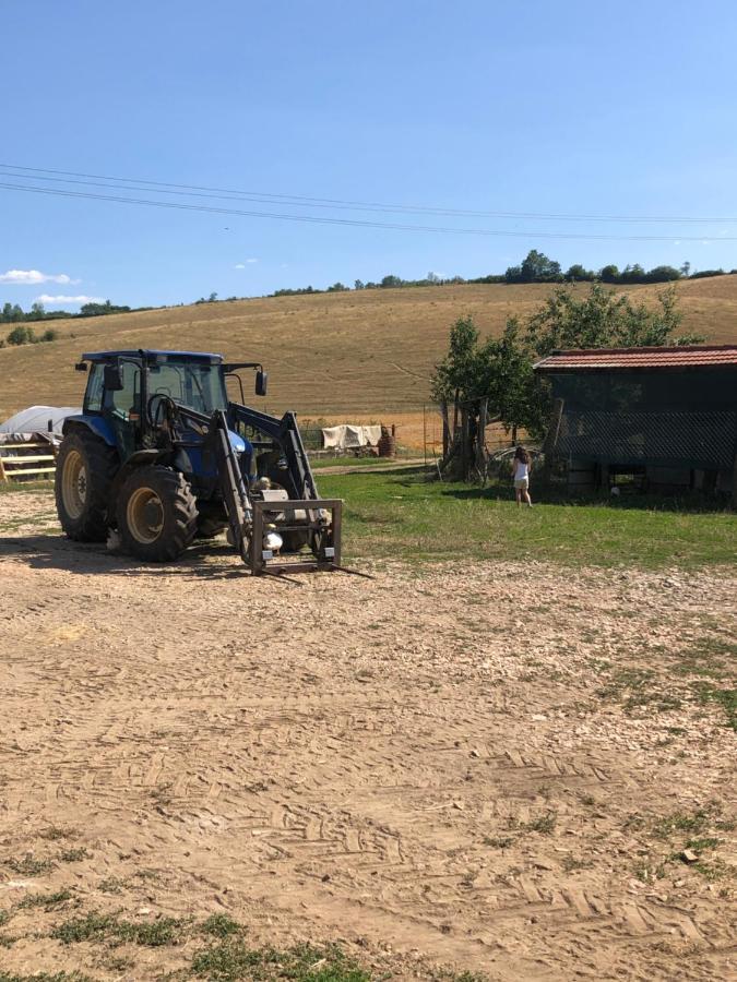 Apartament Na Farme Na Hodosi Cierny Potok Zewnętrze zdjęcie