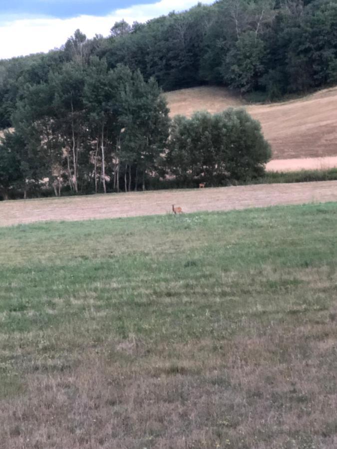 Apartament Na Farme Na Hodosi Cierny Potok Zewnętrze zdjęcie