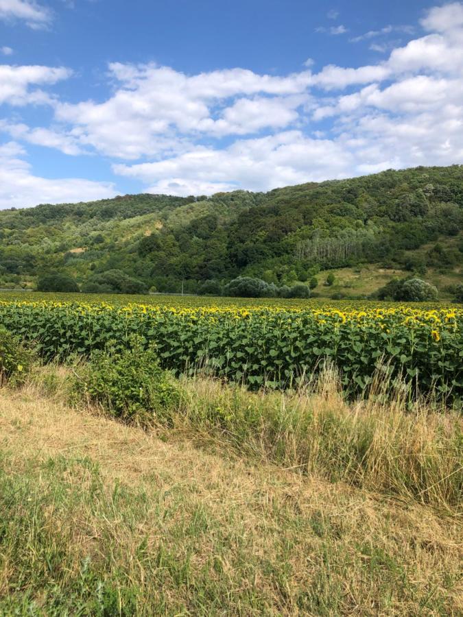 Apartament Na Farme Na Hodosi Cierny Potok Zewnętrze zdjęcie